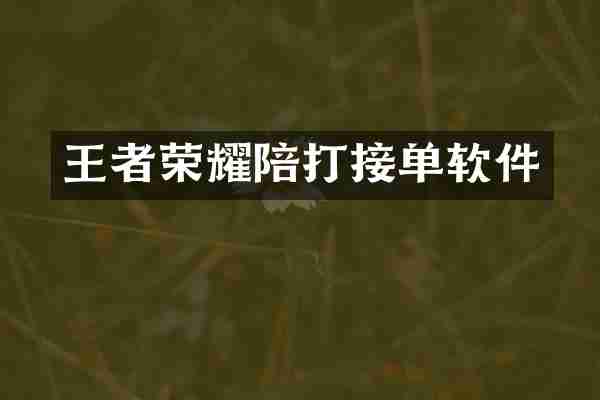 王者荣耀陪打接单软件