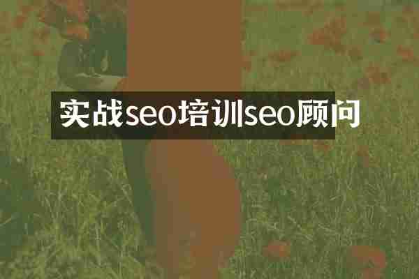 实战seo培训seo顾问