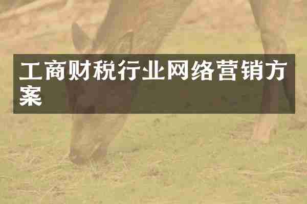 工商财税行业网络营销方案