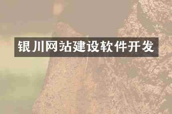 银川网站建设软件开发