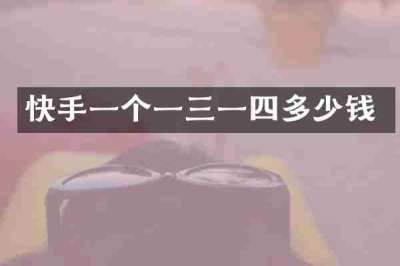 快手一个一三一四多少钱