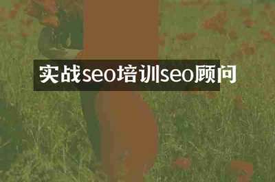 实战seo培训seo顾问