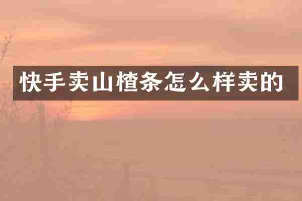 快手卖山楂条怎么样卖的