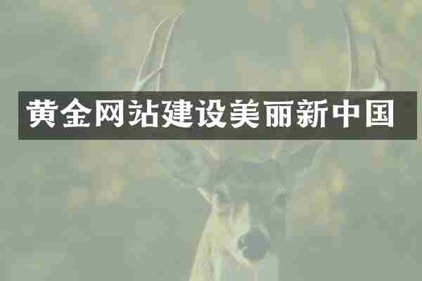 黄金网站建设美丽新中国