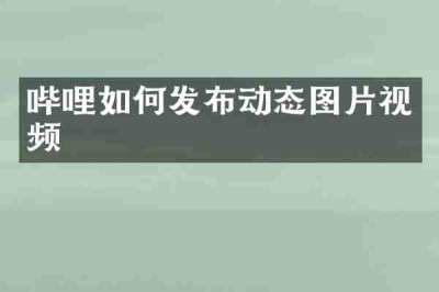 哔哩如何发布动态图片视频