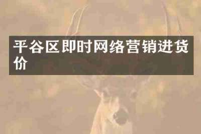 平谷区即时网络营销进货价