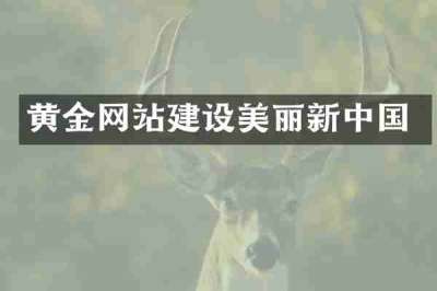 黄金网站建设美丽新中国