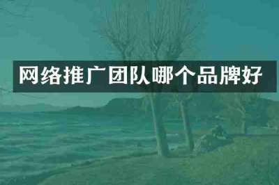 网络推广团队哪个品牌好
