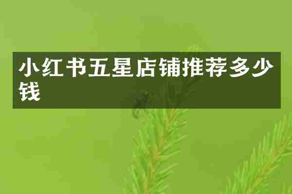 小红书五星店铺推荐多少钱
