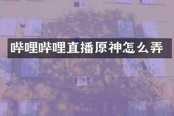 哔哩哔哩直播原神怎么弄