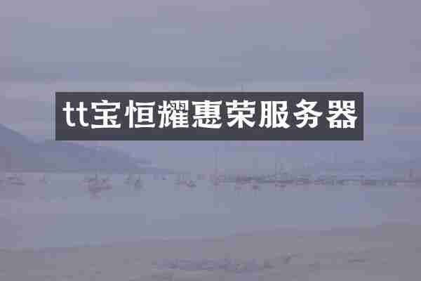 tt宝恒耀惠荣服务器