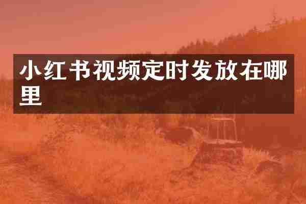 小红书视频定时发放在哪里