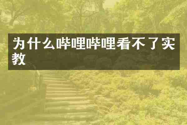 为什么哔哩哔哩看不了实教