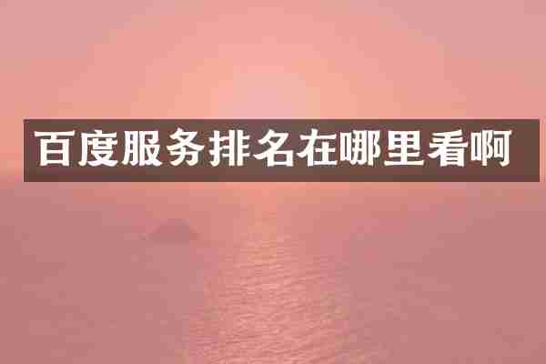 百度服务排名在哪里看啊