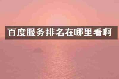 百度服务排名在哪里看啊