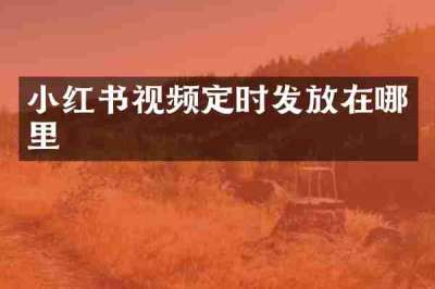小红书视频定时发放在哪里