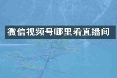 微信视频号哪里看直播间