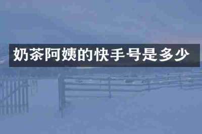 奶茶阿姨的快手号是多少