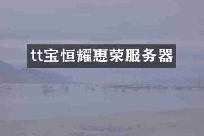tt宝恒耀惠荣服务器
