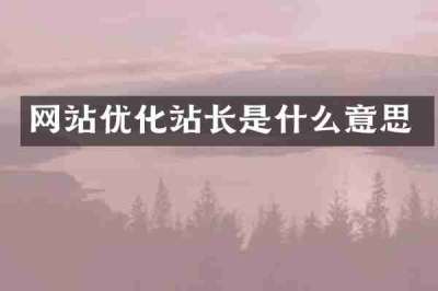 网站优化站长是什么意思