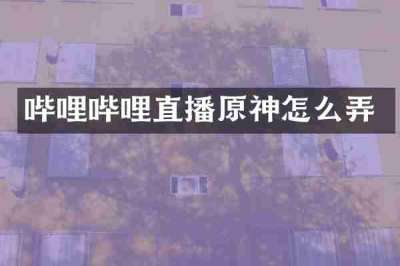 哔哩哔哩直播原神怎么弄