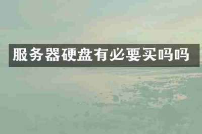 服务器硬盘有必要买吗吗
