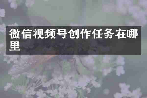 微信视频号创作任务在哪里