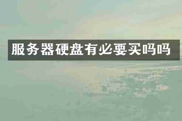 服务器硬盘有必要买吗吗