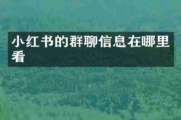 小红书的群聊信息在哪里看
