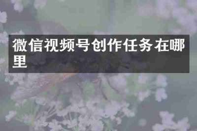 微信视频号创作任务在哪里
