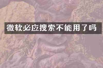 微软必应搜索不能用了吗