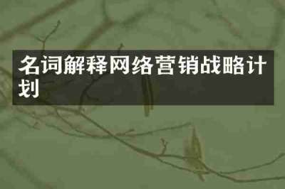 名词解释网络营销战略计划