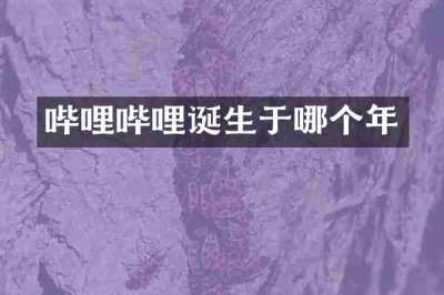 哔哩哔哩诞生于哪个年