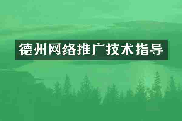 德州网络推广技术指导