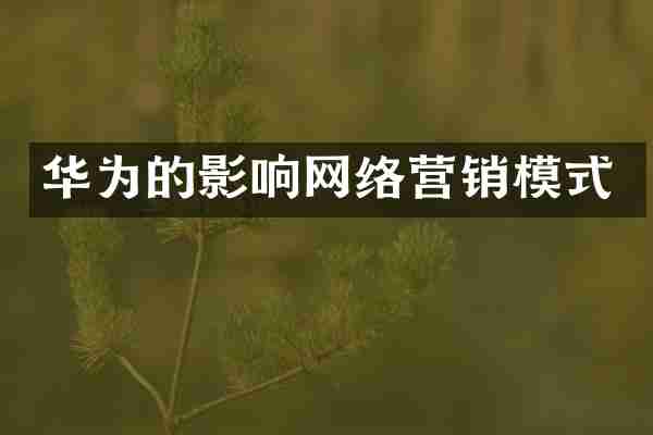 华为的影响网络营销模式