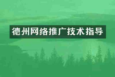 德州网络推广技术指导