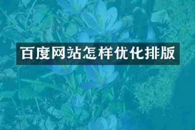 百度网站怎样优化排版