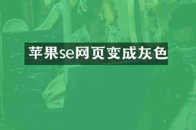 苹果se网页变成灰色