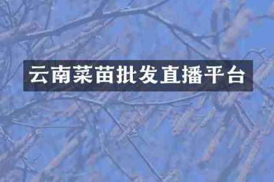 云南菜苗批发直播平台