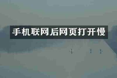 手机联网后网页打开慢