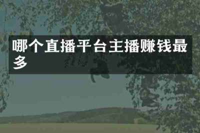 哪个直播平台主播赚钱最多