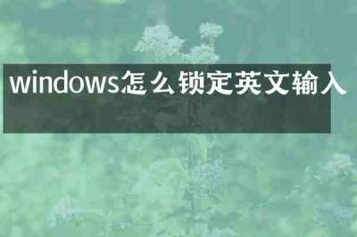windows怎么锁定英文输入法