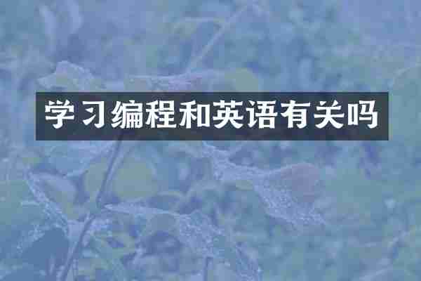 学习编程和英语有关吗