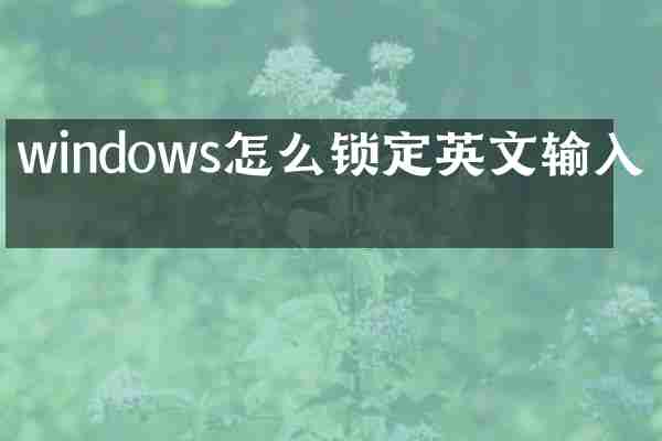 windows怎么锁定英文输入法