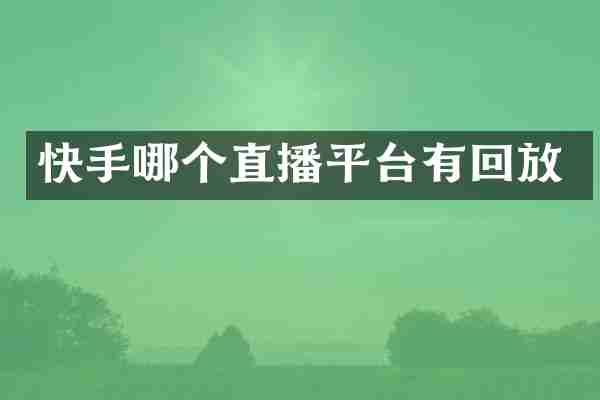 快手哪个直播平台有回放