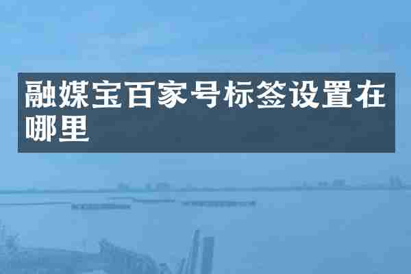 融媒宝百家号标签设置在哪里
