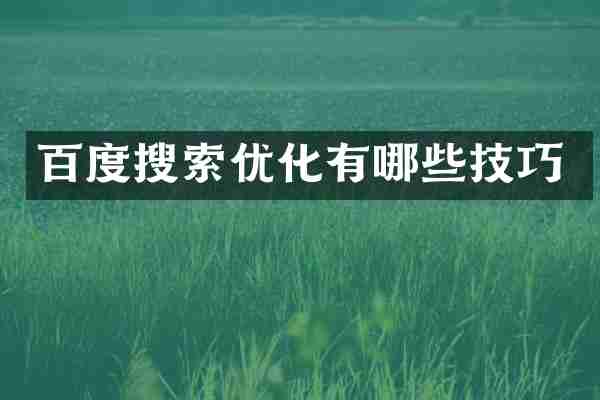 百度搜索优化有哪些技巧