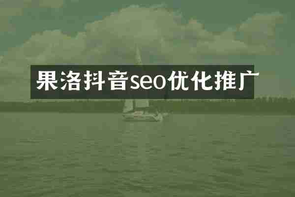 果洛抖音seo优化推广