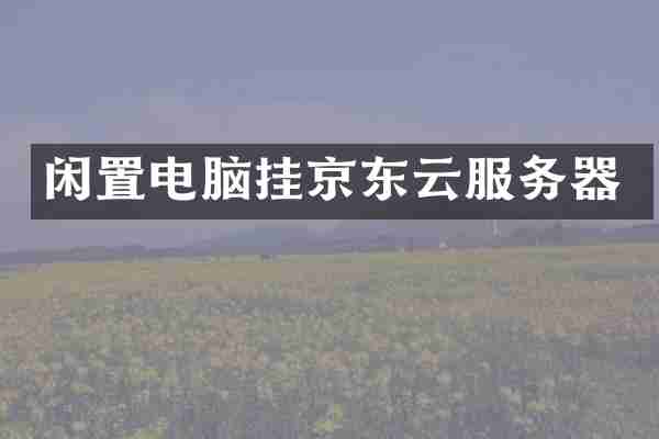 闲置电脑挂京东云服务器