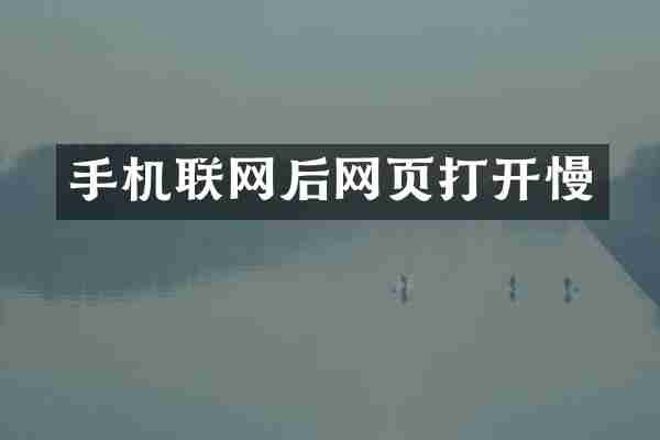 手机联网后网页打开慢